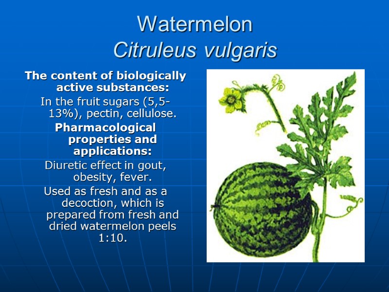 Watermelon Citruleus vulgaris The content of biologically active substances: In the fruit sugars (5,5-13%),